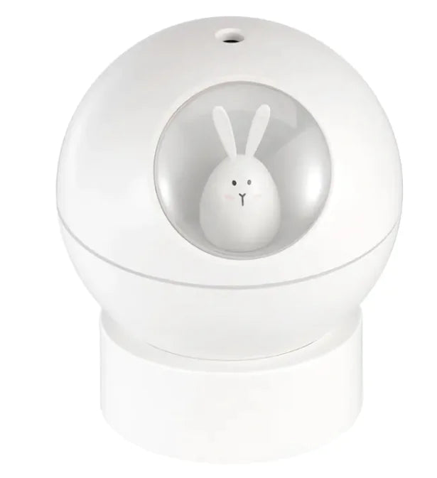Pet Rabbit