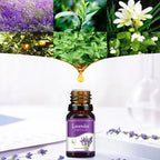 Aromatherapy Essential Oil